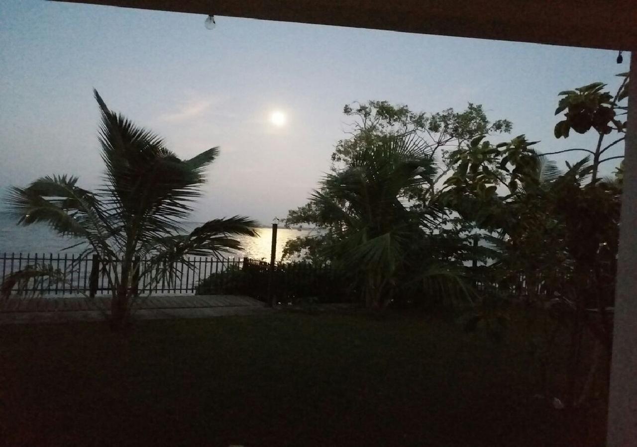 Negombo Holiday Home Extérieur photo