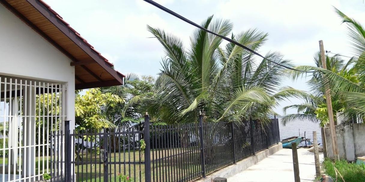 Negombo Holiday Home Extérieur photo